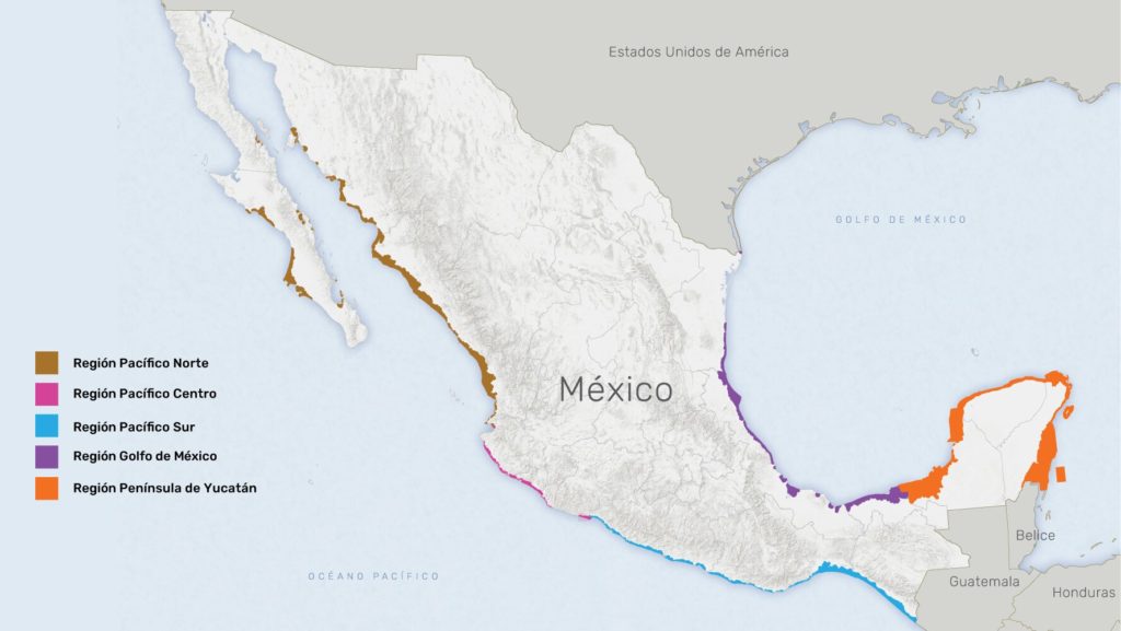 Actualmente, la península de Yucatán es una de las regiones más conocidas y visitadas dentro de México.